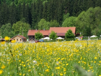 照片: Malleichen